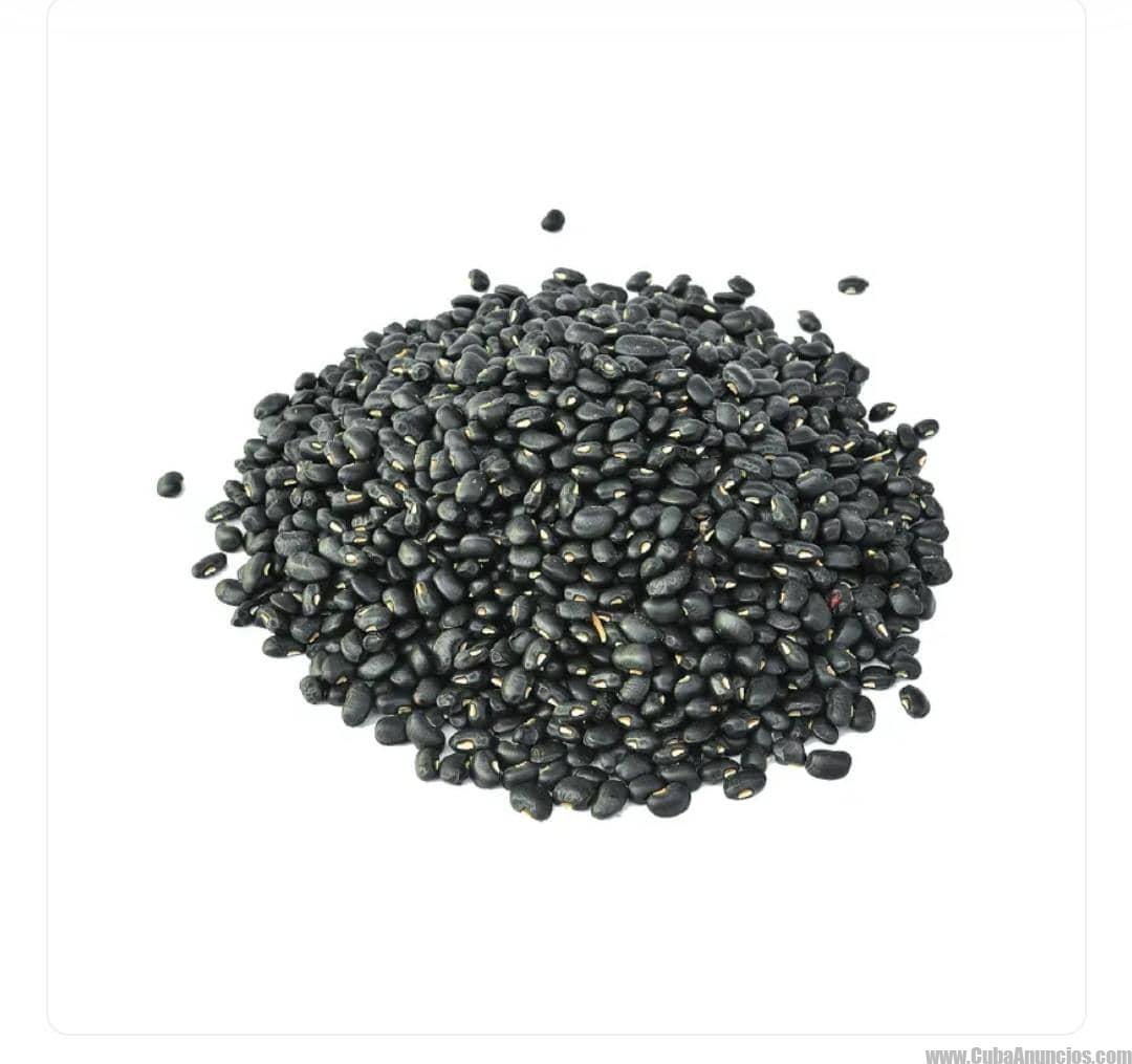 Frijoles (10lb)