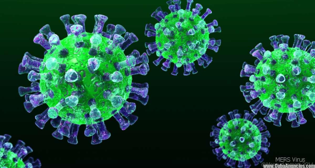 Alerta por Virus de Oropouche: Preocupación por Viajeros a Cuba y Propagación Internacional