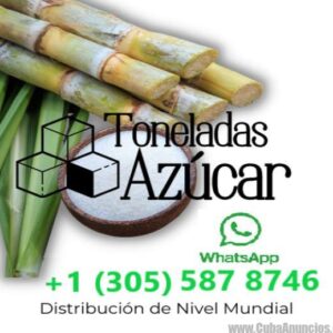 AZUCAR IMPORTADA / MAYOREO