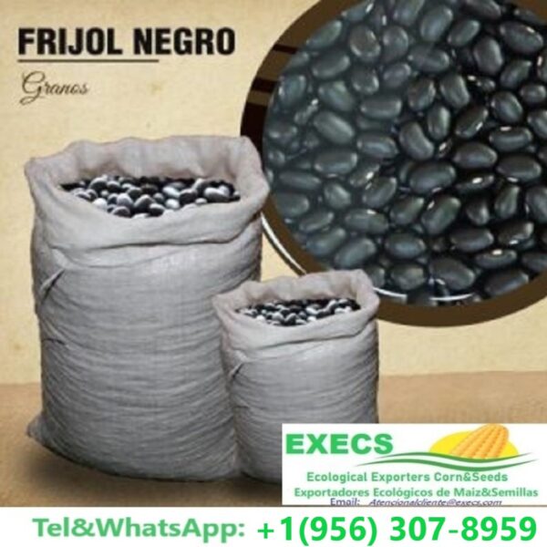 FRIJOL NEGRO AL MAYOREO