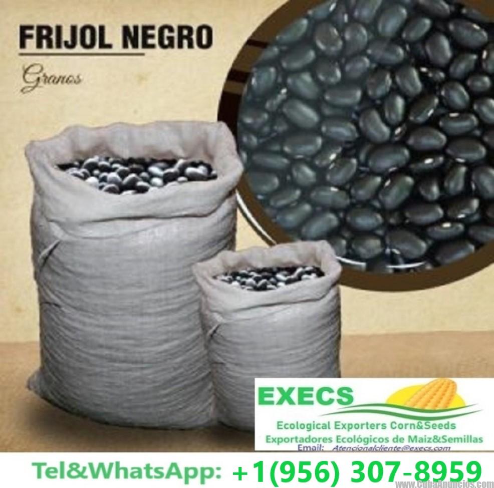 FRIJOL NEGRO AL MAYOREO