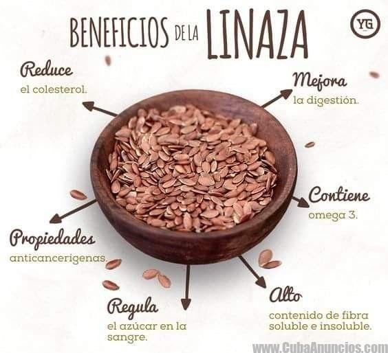 Semillas de linaza-100g - Imagen 3