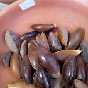 Semillas de Mamey