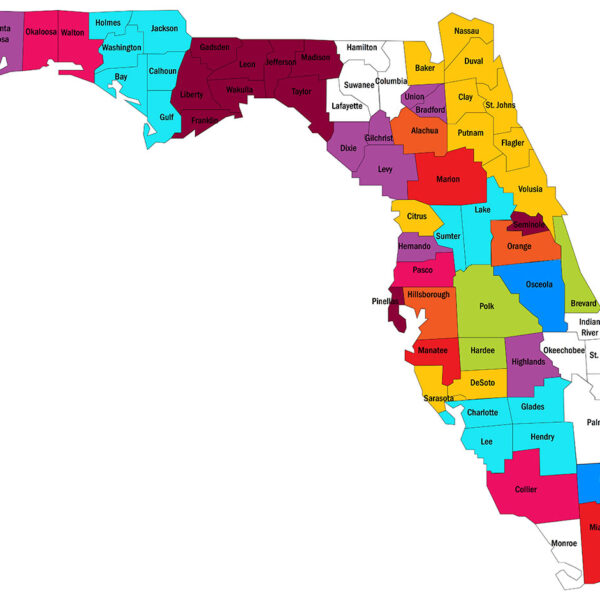 Obtener tu Licencia de Conducir por Primera Vez en Florida