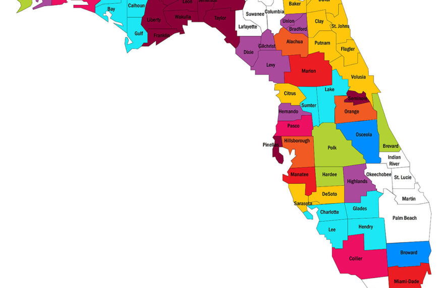 Obtener tu Licencia de Conducir por Primera Vez en Florida