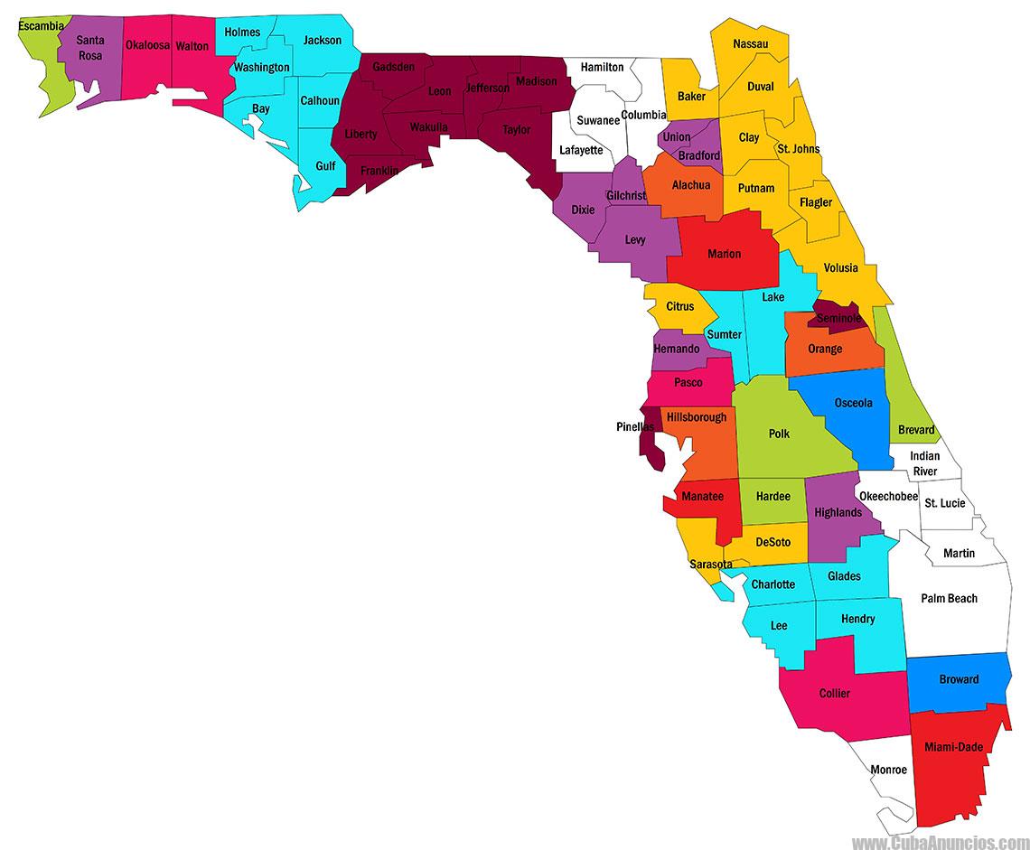 Obtener tu Licencia de Conducir por Primera Vez en Florida