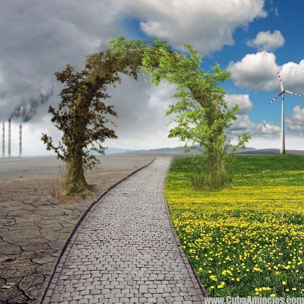 Cuba Lidera Iniciativas para Mitigar el Impacto Ambiental