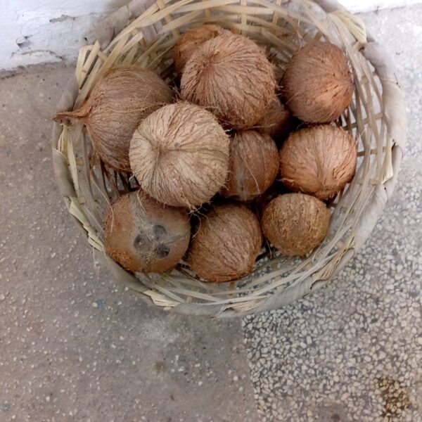 Cocos