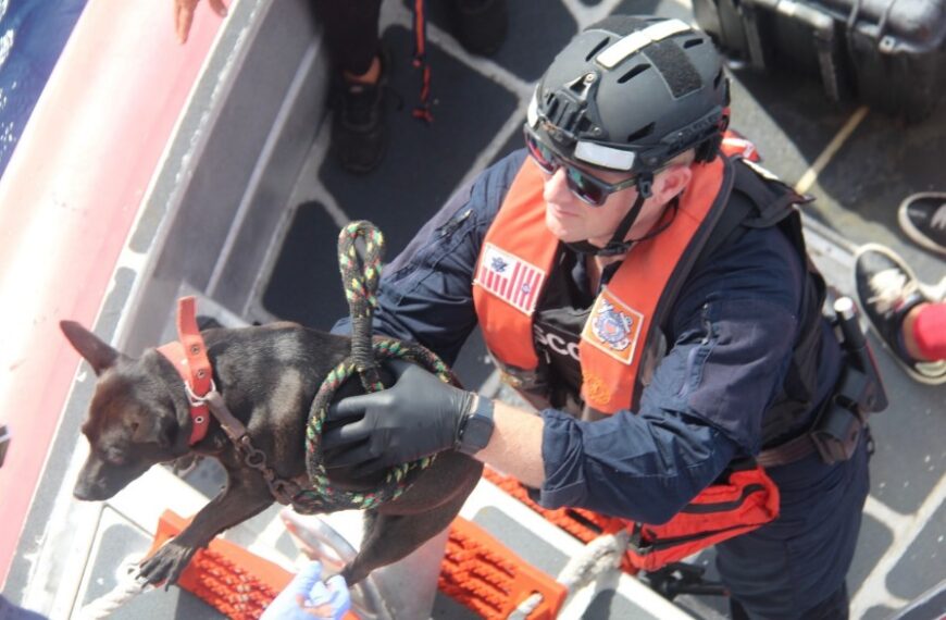 Repatrian a 2 Perros y 20 Balseros Cubanos