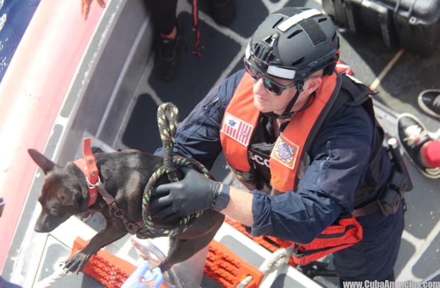 Repatrian a 2 Perros y 20 Balseros Cubanos