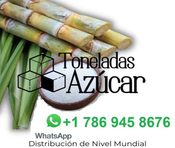 MAYOREO DE ALIMENTOS IMPORTADOS DE MIAMI A EL MARIEL