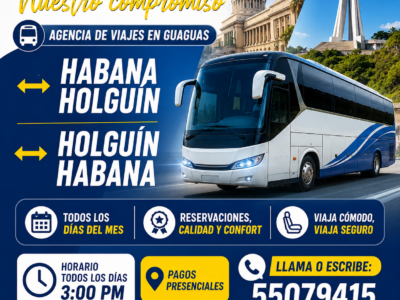 Viajes Interprovinciales Diarios
